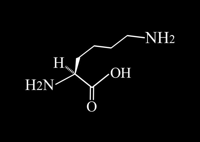 Amino acids